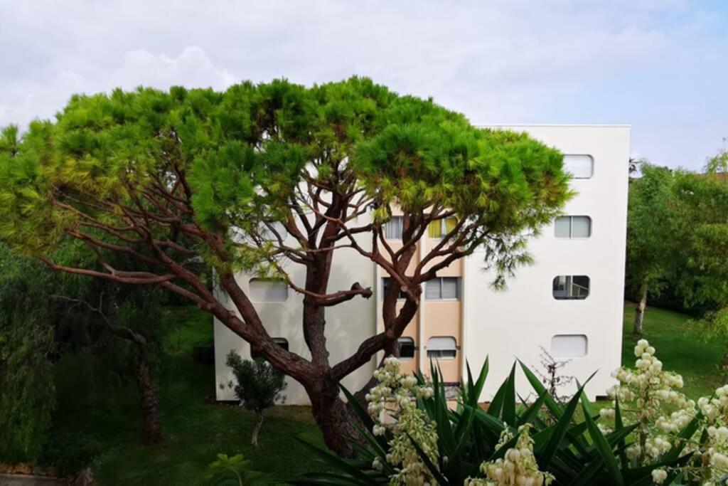 Magnifique Dans Résidence Avec Piscine Antibes