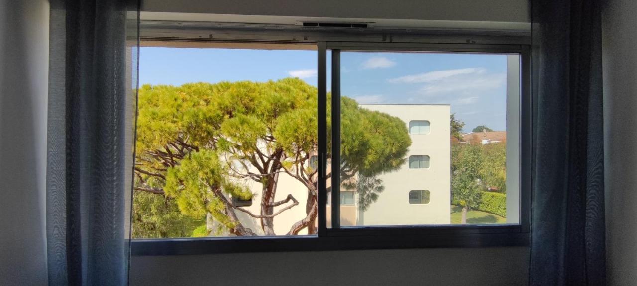 Appartement Magnifique Dans Résidence Avec Piscine Antibes