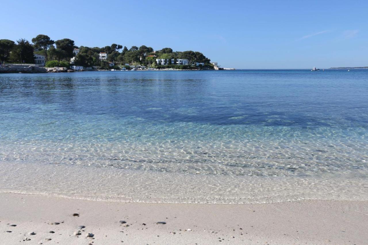 Magnifique Dans Résidence Avec Piscine * Antibes